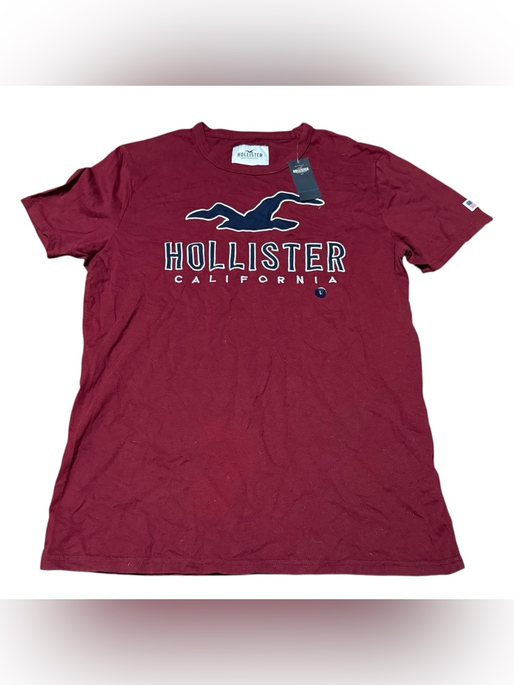 Hollister T-shirt Men’s Large Burgundy Short Sleeve Logo